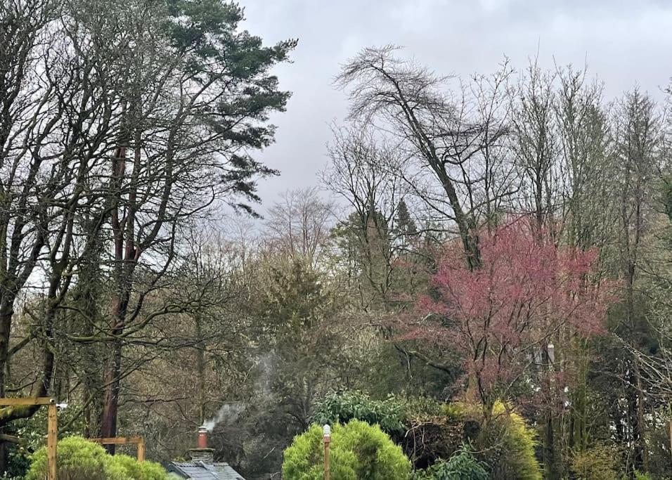 Cosy By The Villa Bowness-on-Windermere